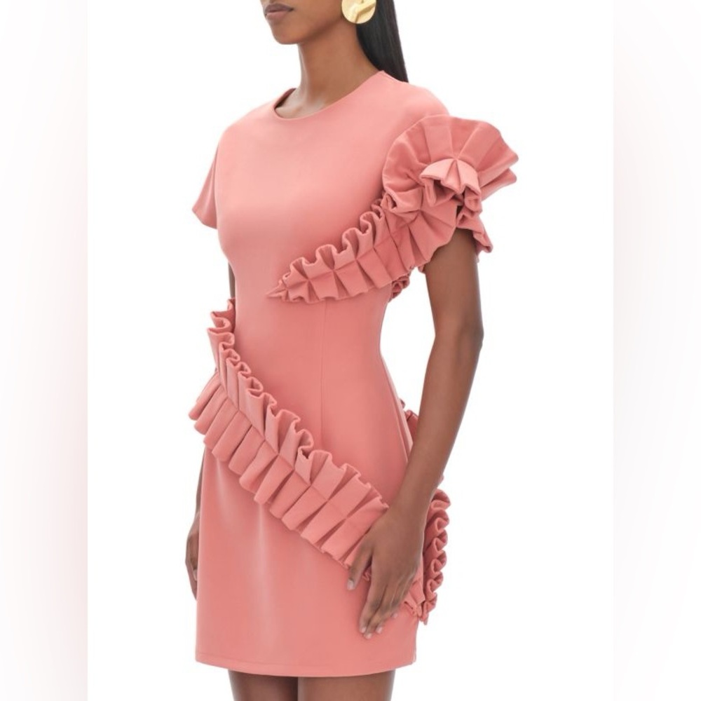 Andrea Iyamah Safia Dress Pink Peach Rose Pleat Ruffle Mini Easter SZ Small - Picture 3 of 16